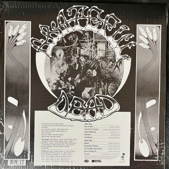 Grateful Dead – American Beauty (2023) New Sealed Vinyl LP - Picture 2 of 3